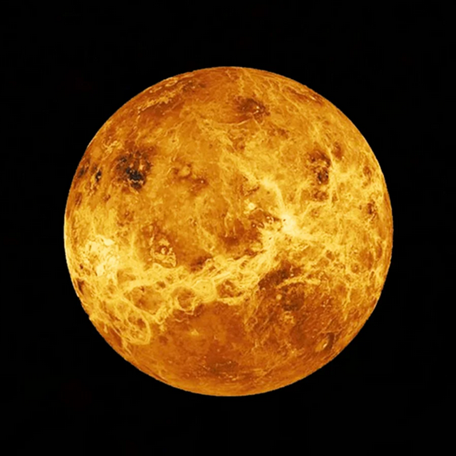 Venus Fortune Reading